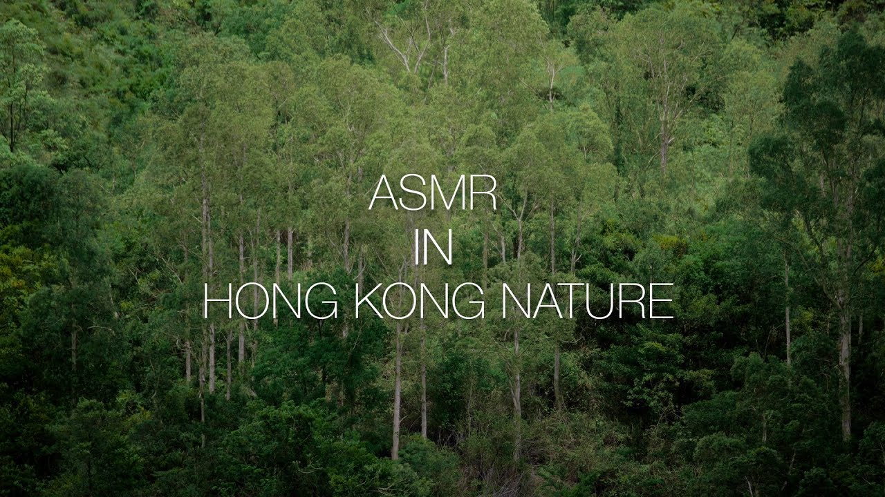 360 Hong Kong Moments Asmr In Hong Kong Outdoors Youtube