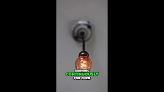 Thumbnail for Phoebus Cartel: The Secret Plot Behind Short-Lived Light Bulbs
