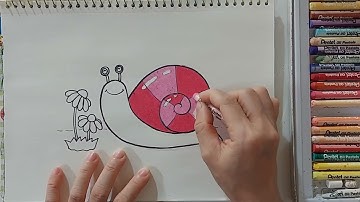 Vẽ Ốc Sên | Hướng dẫn vẽ và tô màu đơn giản
