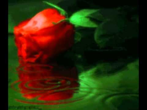 Leqsi panteli zaridze  უსათაურო  მხოლოდ შენ  ^_^