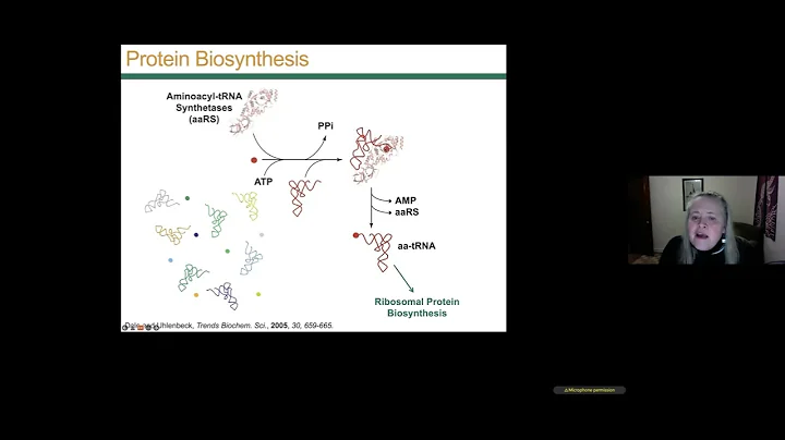 Frontiers in chemistry   Webinar 2