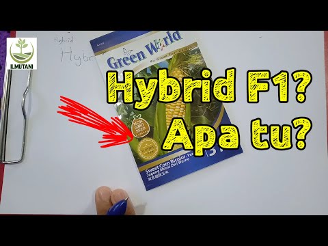 Apa maksud hybrid?