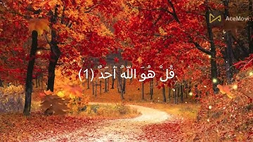 سورة الاخلاص القارئ عبد الرحمن مسعد