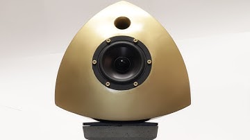 I 3D printed a set of speakers!