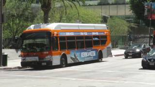 Buses of Downtown LA 9/10/2016