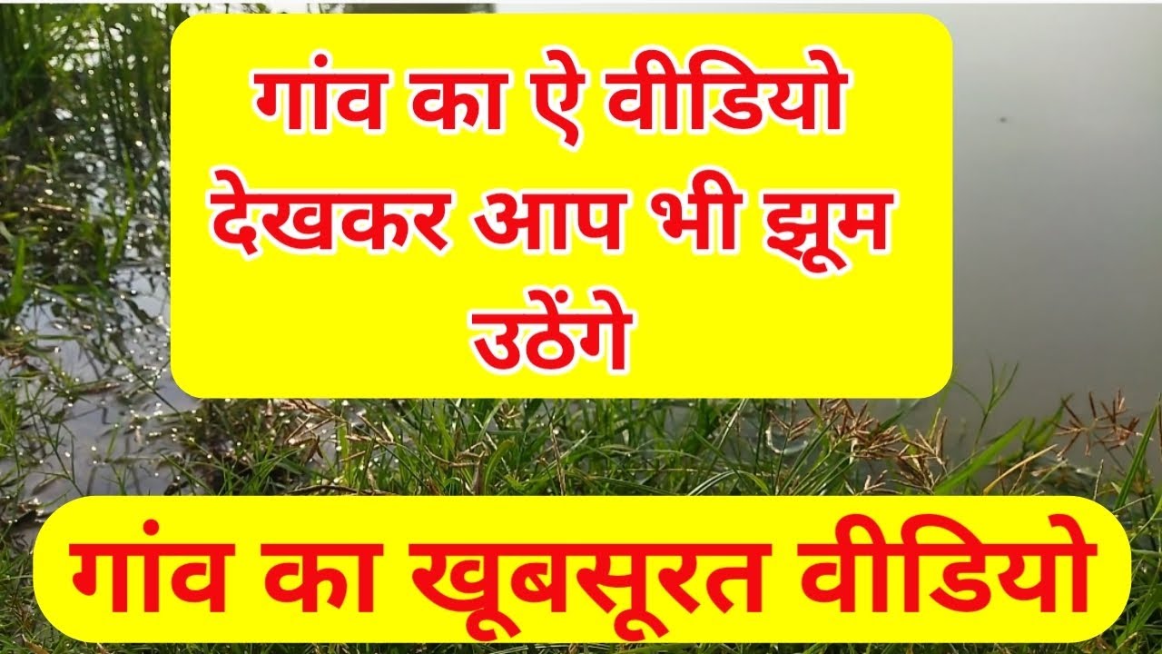 whatsapp status whatsapp status video my village status village