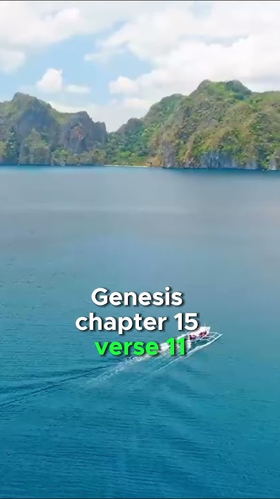 genesis-chapter-15-verse-11-the-king-james-version-kjv-shorts-bible
