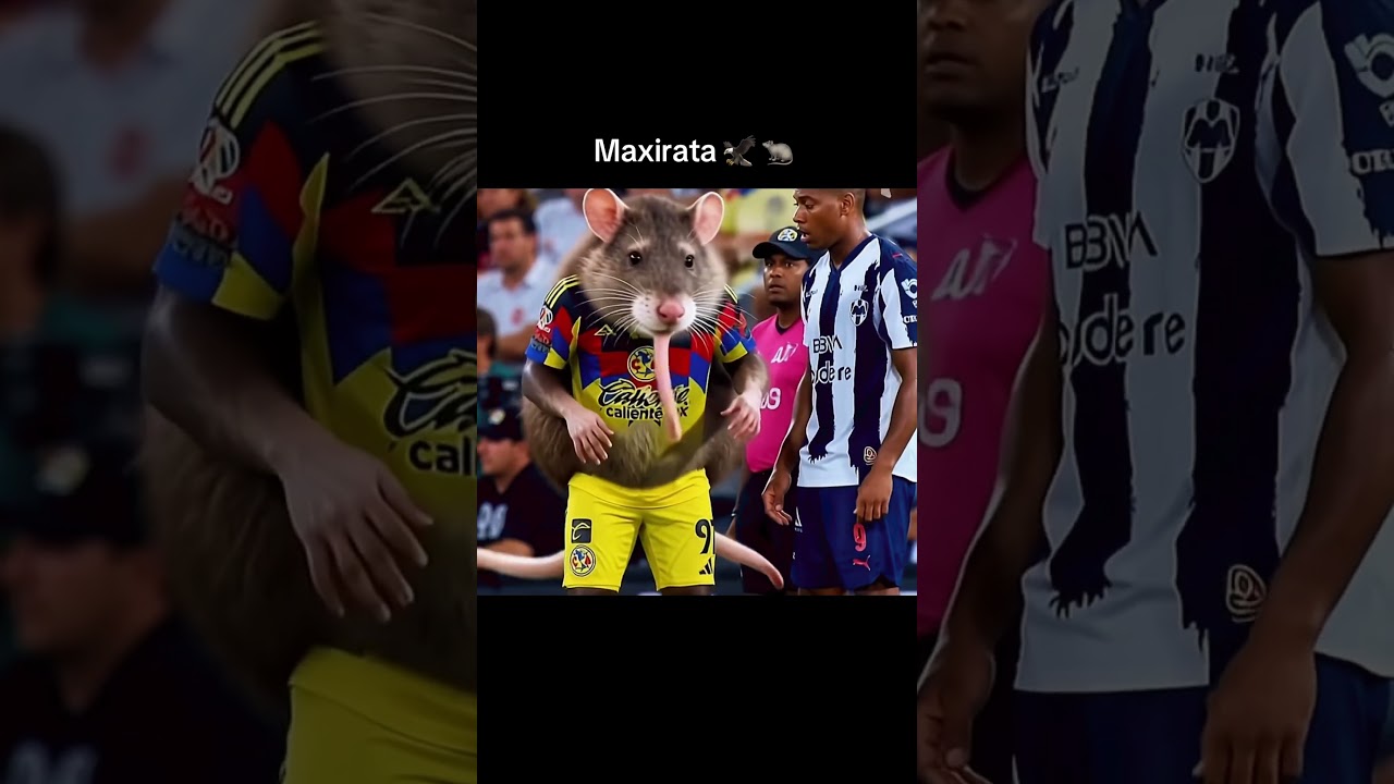 ¡Allan Saint-Maximin y Anthony Martial! 🦅🐦‍⬛🐭