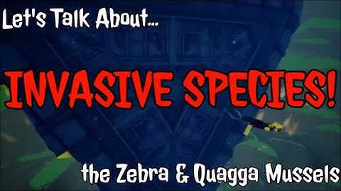The Impact of Zebra and Quagga Mussels on Great Lakes Phytoplankton - ENSC 1500 Outreach