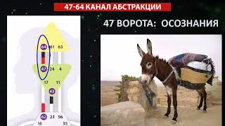 Канал Абстракции 47 64 || Дизайн Человека || Урок 7-28 Как читать свой Бодиграф