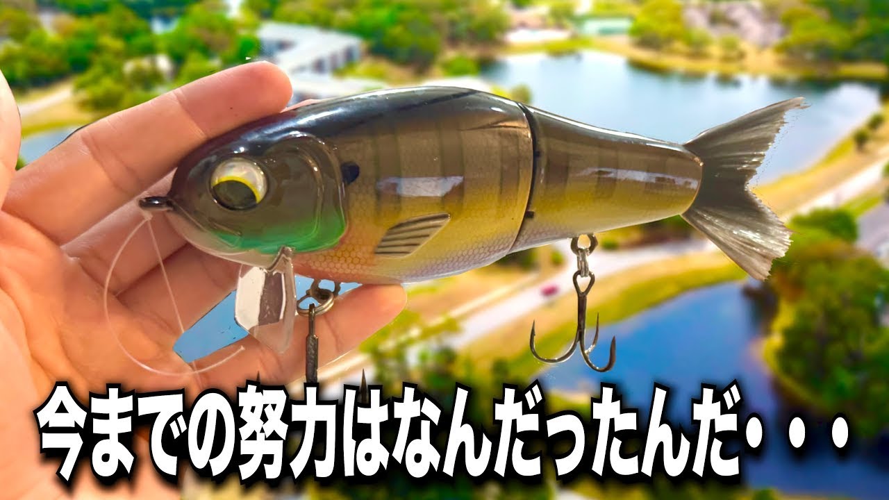 Ловля окуня во Флориде — это действительно просто!