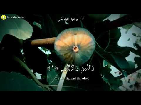 سورة التين مكتوبة بصوت القارئ الشيخ هزاع البلوشي تلاوة تريح القلب 