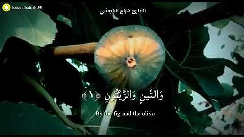 سورة التين  مكتوبة بصوت القارئ الشيخ هزاع البلوشي.. تلاوة تريح القلب