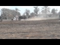 جنجني و صافي..موقع نيروز