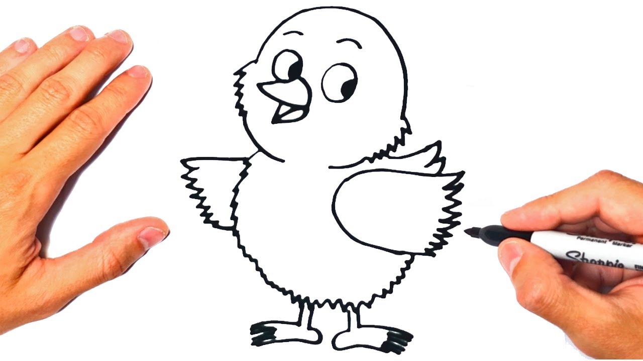 how-to-draw-a-chick-drawing-a-little-chick-youtube
