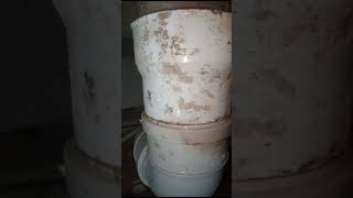 Services Sealing Penetration