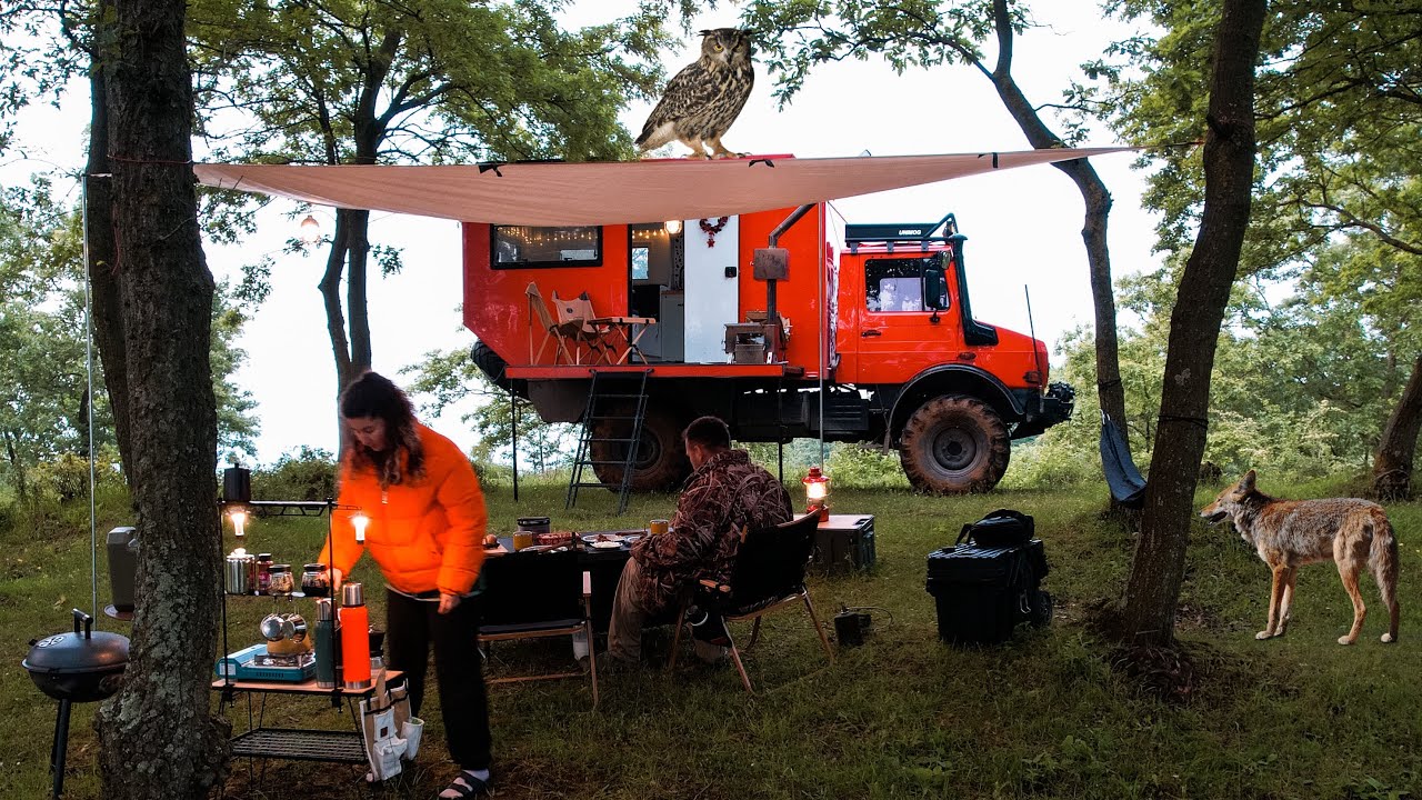 НА ЭТОТ РАЗ В НАШ ЛАГЕРЬ ПРИШЛИ ДИКИЕ ЖИВОТНЫЕ