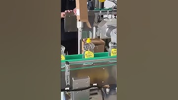 Flat Detergent Bottle One Side Labeling Machine #labelingmachine #labeler