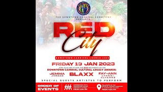 Launch Of Downtown Carnival 2023 Togo Movie