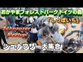 ENG SUB【犬とお出かけ】シュナウザーがウジャウジャで「シュナウジャー」【schnauzer meetup】[kawaii]