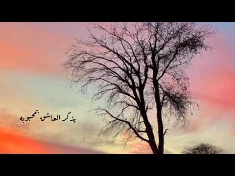 الراعبي كلمات حميد بن نهيل المقبالي أداء الهاجس الدرعي