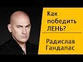 Как победить лень   Радислав Гандапас