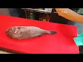 참돔 (まだい) 오로시 손질과정