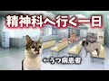 【猫ミーム】精神科に行く日のルーティン