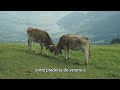 Ganadería y Agricultura en Denver, Colorado  Procesos de Cría y Cultivo Sostenibles