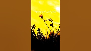 تجويد صوت السماء الشيخ عبد الباسط عبد الصمد 🌅🤲#سورة البقرة 🕌👌🕋