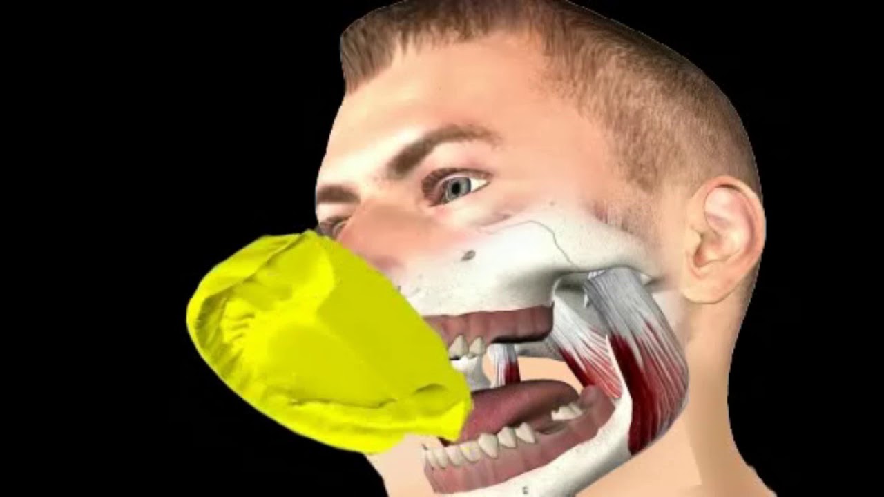 Determinarea pozitiei de muscat a dintilor (ocluzie dentara)