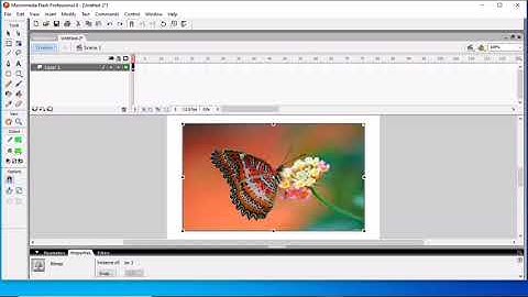 class 7 chapter 8 More Tools in flash a part