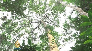 Congo army attack rebels in lawless east