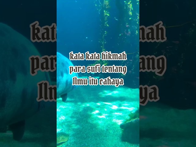 kata kata hikmah para sufi tentang Ilmu itu cahaya class=