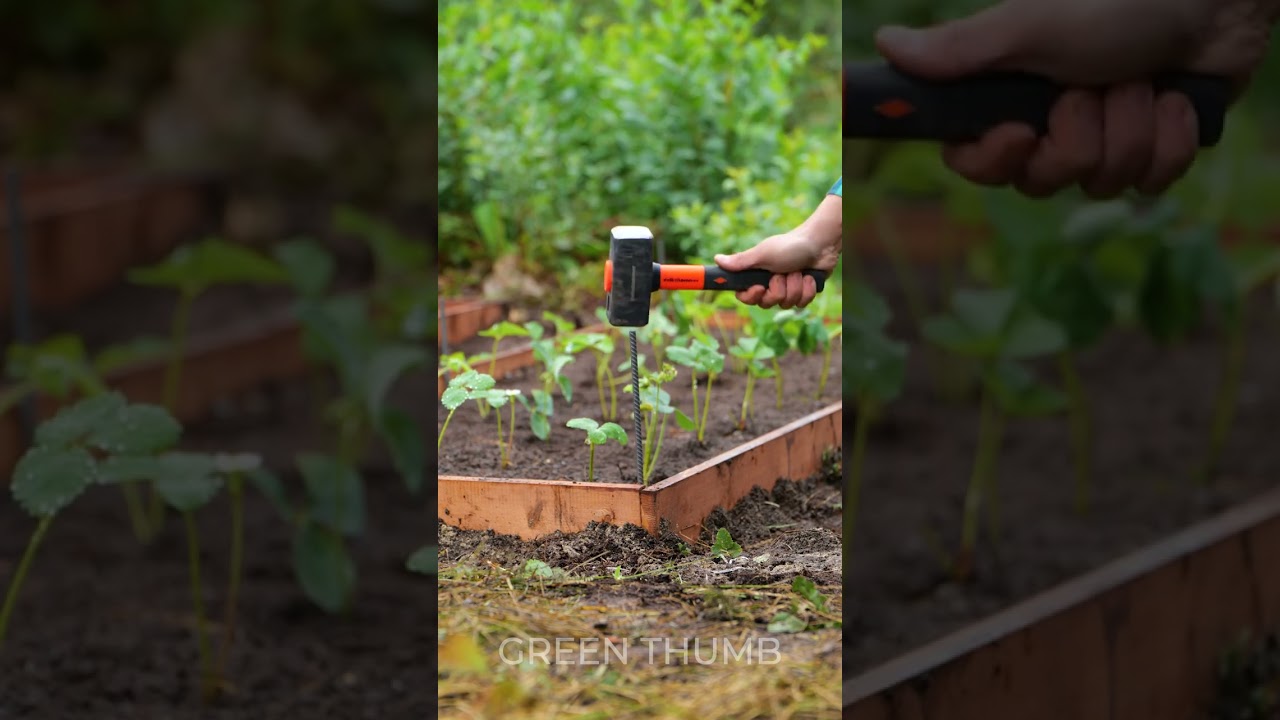 Simple hacks for easy gardening routine 😉 #shorts #garden #plants