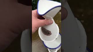 #french #enamel #kitchen #yardsale #decor