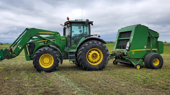 ( 2019 Baling ) first cut Alfalfa