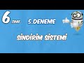 6.Sınıf Haftalık Branş Denemeleri - 5.Deneme Sindirim Sistemi Video Çözümleri