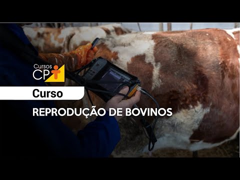 Ultrassonografia na Reprodução de Bovinos