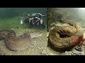 पानी में जाने से पहले वीडियो जरूर देख ले, वरना पछताएंगे | Strange Encounter With Sea Creatures
