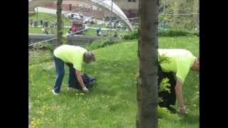 Downtown Akron: Green & Clean