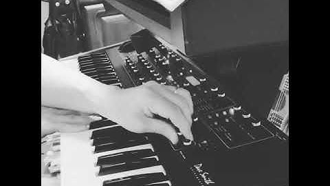 Dave Smith Instruments Prophet