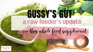 Gussy's Gut | This Whole Food Supplement Healed My Dog's Gut by Kimberly Gauthier, CPCN 381 views 5 months ago 1 minute, 30 seconds