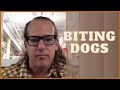 Statement of day |  Don't punish biting and it won't go away | Solid K9 Training Dog Training Tips