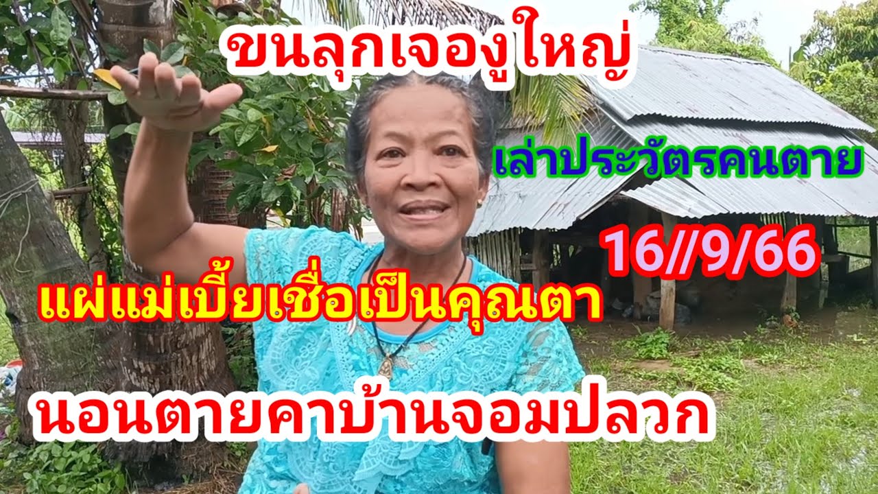 เจองูยักษ์#แผ่แม่เบี้ยใส่16ก.ย66 - YouTube เจองูยักษ์#แผ่แม่เบี้ยใส่16ก.ย66 - Youtube