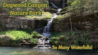 Tour of Dogwood Canyon Nature Park