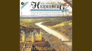 Wem wol wir disen rebner bringen