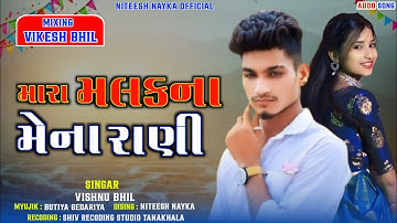 Vishnu Bhil New Timli 2025 | मारा मलकना मेना रानी | Mahesh Nargawa New Timli | Ld Dodwa New Timli