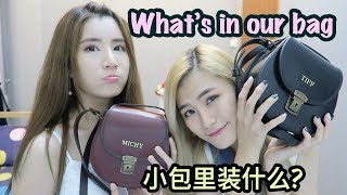 小包里有什么? WHAT’S IN OUR BAGS? feat Beara Beara