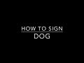 Learn How to Sign the Word Dog